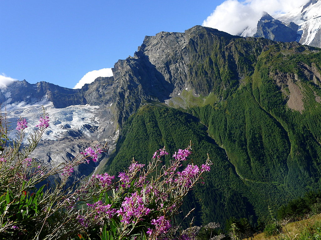 Mt.Dombay-Ulgen